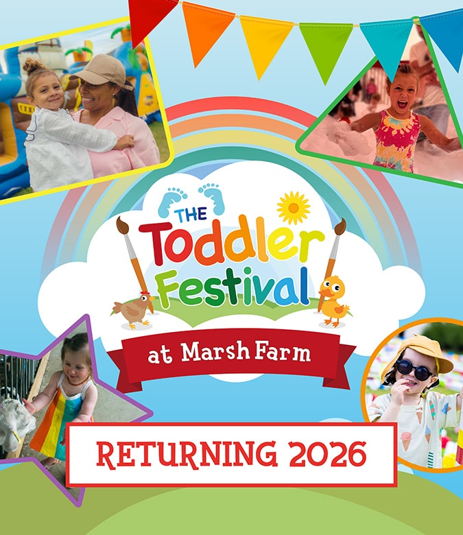 Toddler Festival 