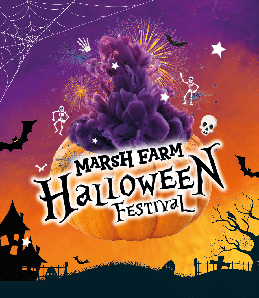 Halloween Festival 