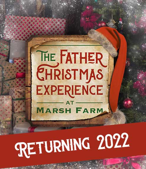 The Father Christmas Experience 