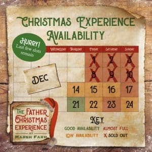 Father Christmas Experience Availability