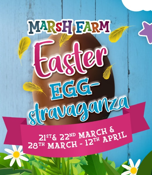 Easter Eggstravaganza 