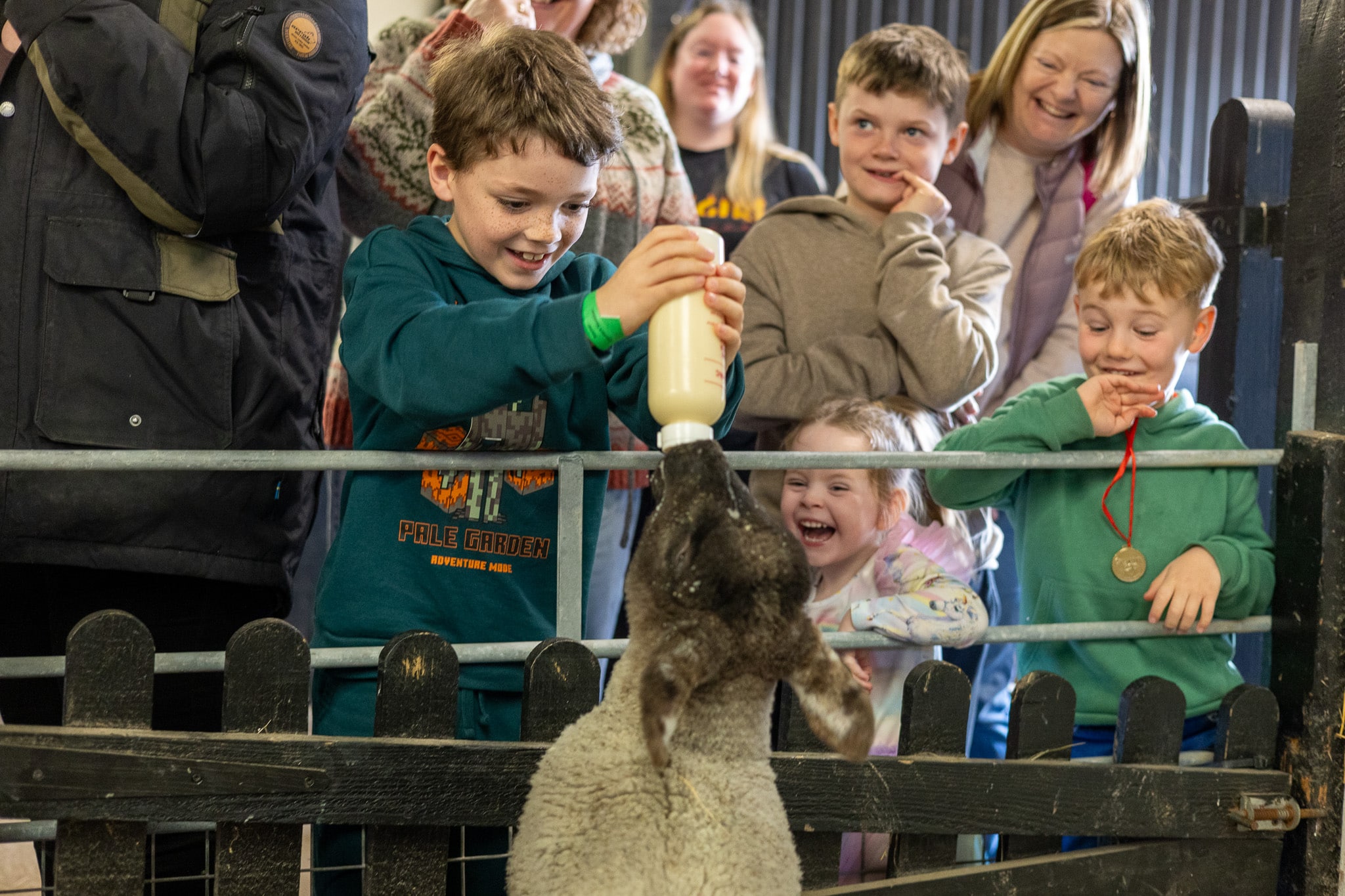Bottle Feeding Lambs